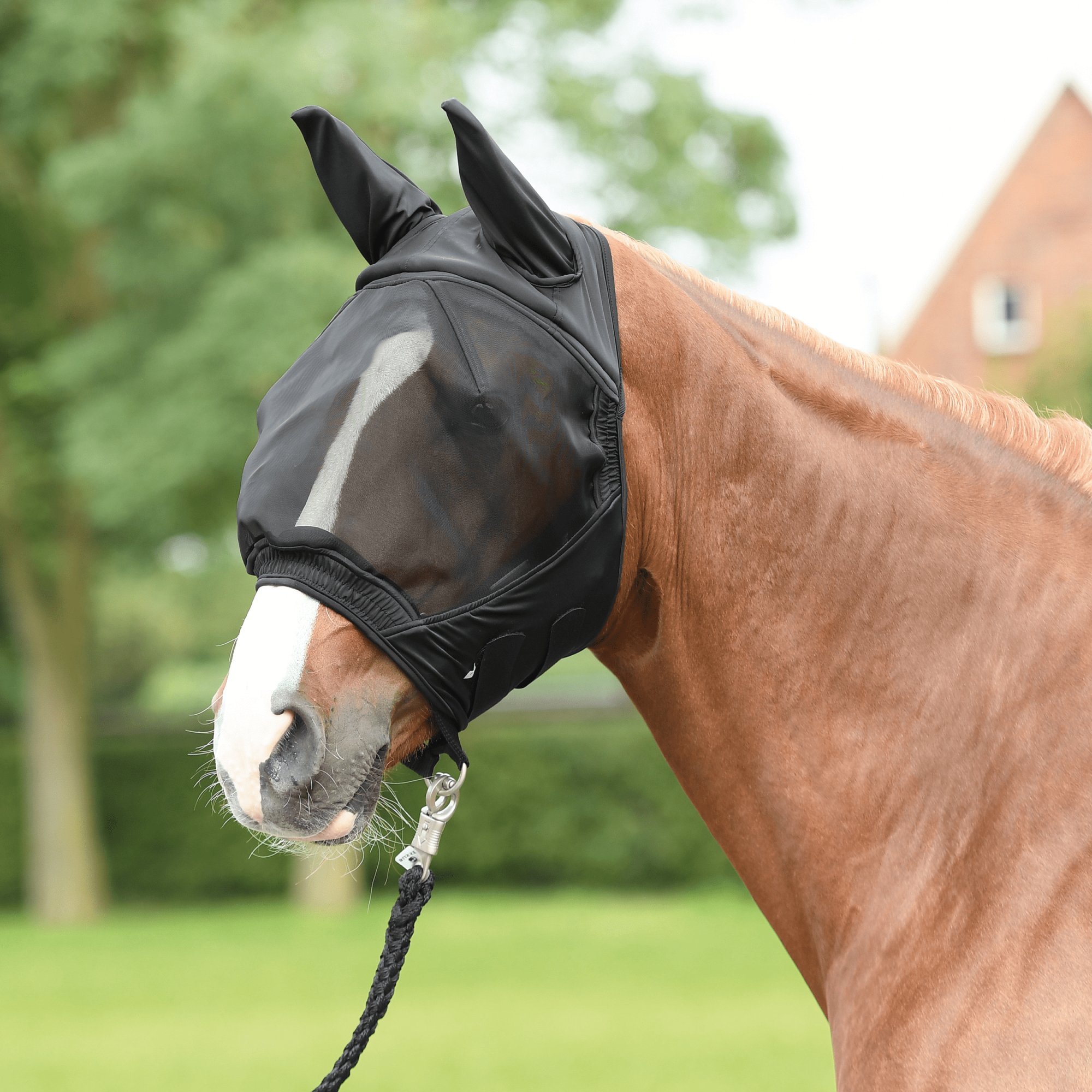 BUSSE Maska proti hmyzu Fly Buckler BUSSE, s ochranou uší, černá Velikost: PONY