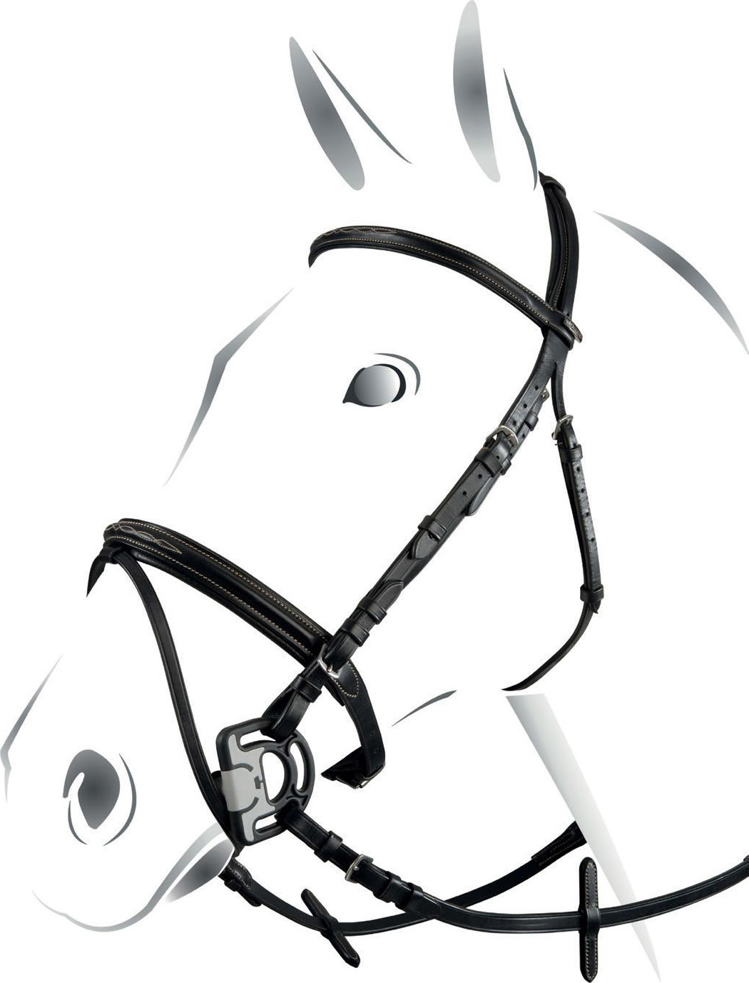 EQUESTRO Uzdečka Deco EQUESTRO, černá Velikost: COB