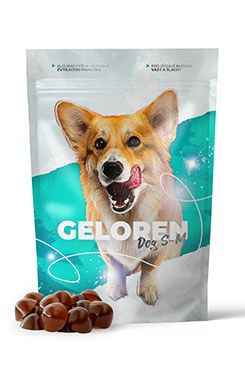 Geloren pro psy, S-M/180 g
