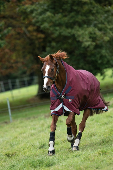 Deka výběhová Rambo Wug, s vyšším krkem, 200 g, burgundy/burgundy/teal & navy Délka zad: 145 cm