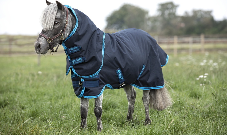 Deka výběhová Shetty/Pony Amigo Hero 6, s krkem, 200 g, navy/electric blue & navy Délka zad: 65 cm