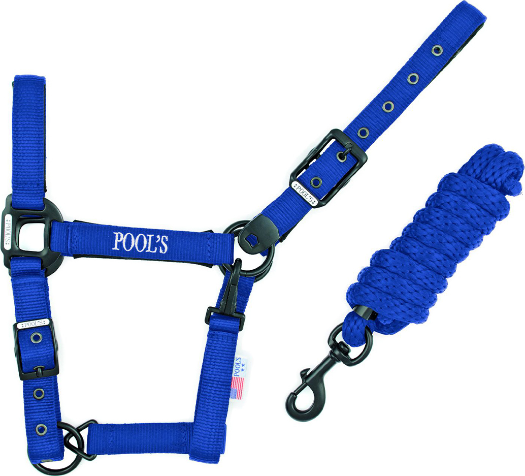 Pool's Set ohlávky s vodítkem Pool's, royal blue Velikost: COB