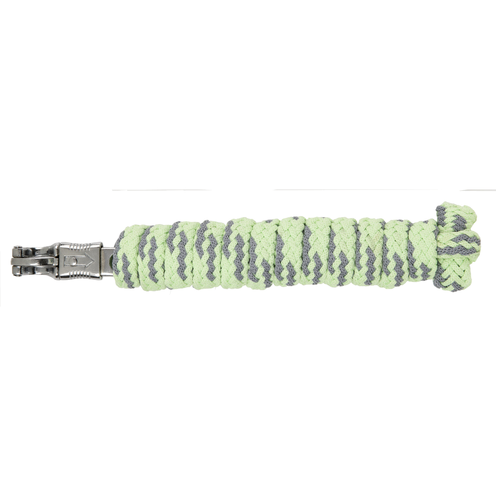 USG Vodítko USG, 2 m, pistachio/silver grey Varianta: s karabinou
