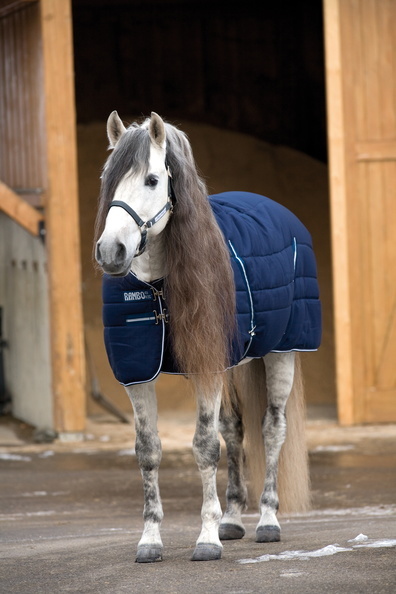 RAMBO Deka stájová Rambo, hladká podšívka, 200 g, navy & white Délka zad: 155 cm