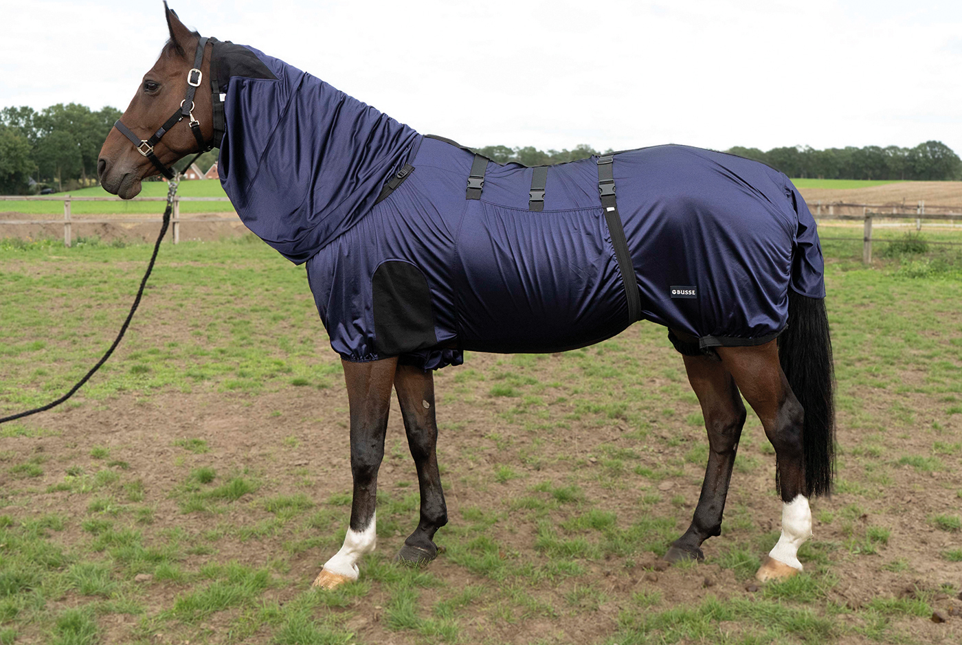 BUSSE Deka proti hmyzu ECZEMA Strong BUSSE, navy Délka zad: 165 cm