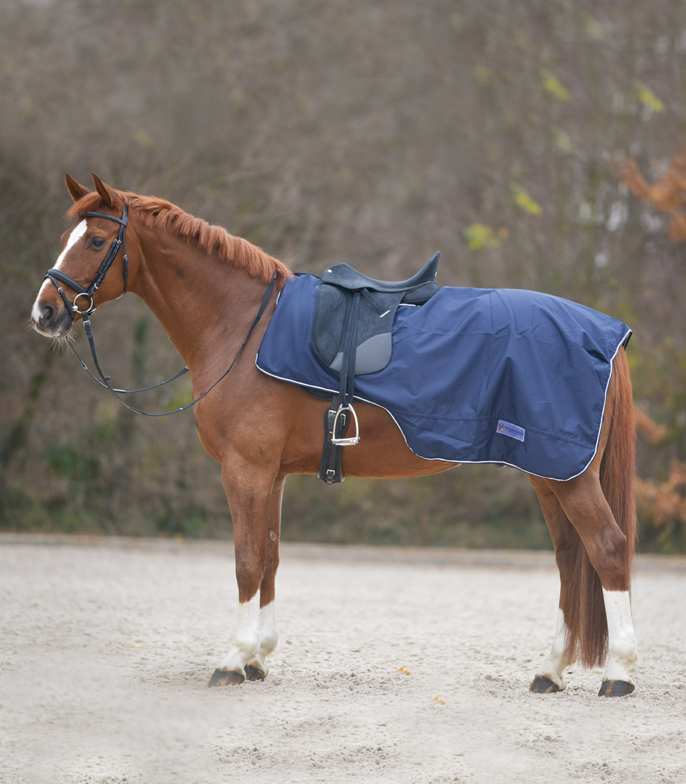 WALDHAUSEN Deka bederní Comfort Waldhausen, nepromokavá, marine Délka zad: PONY