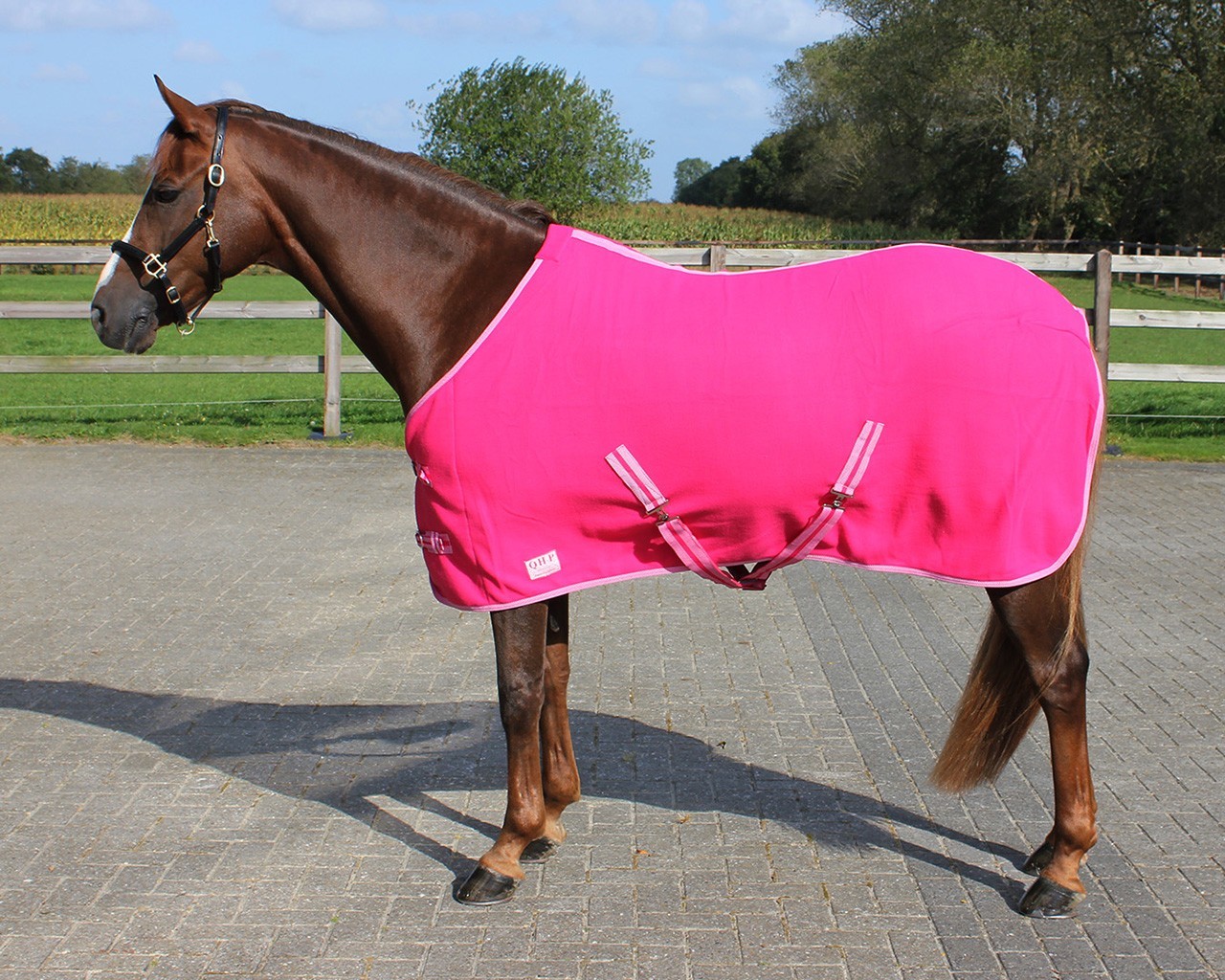 Q-essentials Deka odpocovací Color Q-essentials, fuchsia Délka zad: 75 cm