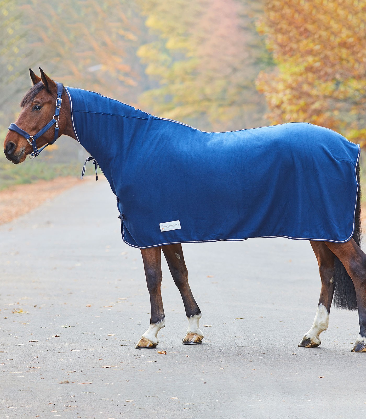WALDHAUSEN Deka odpocovací Economic Waldhausen, s krkem, marine Délka zad: 155 cm
