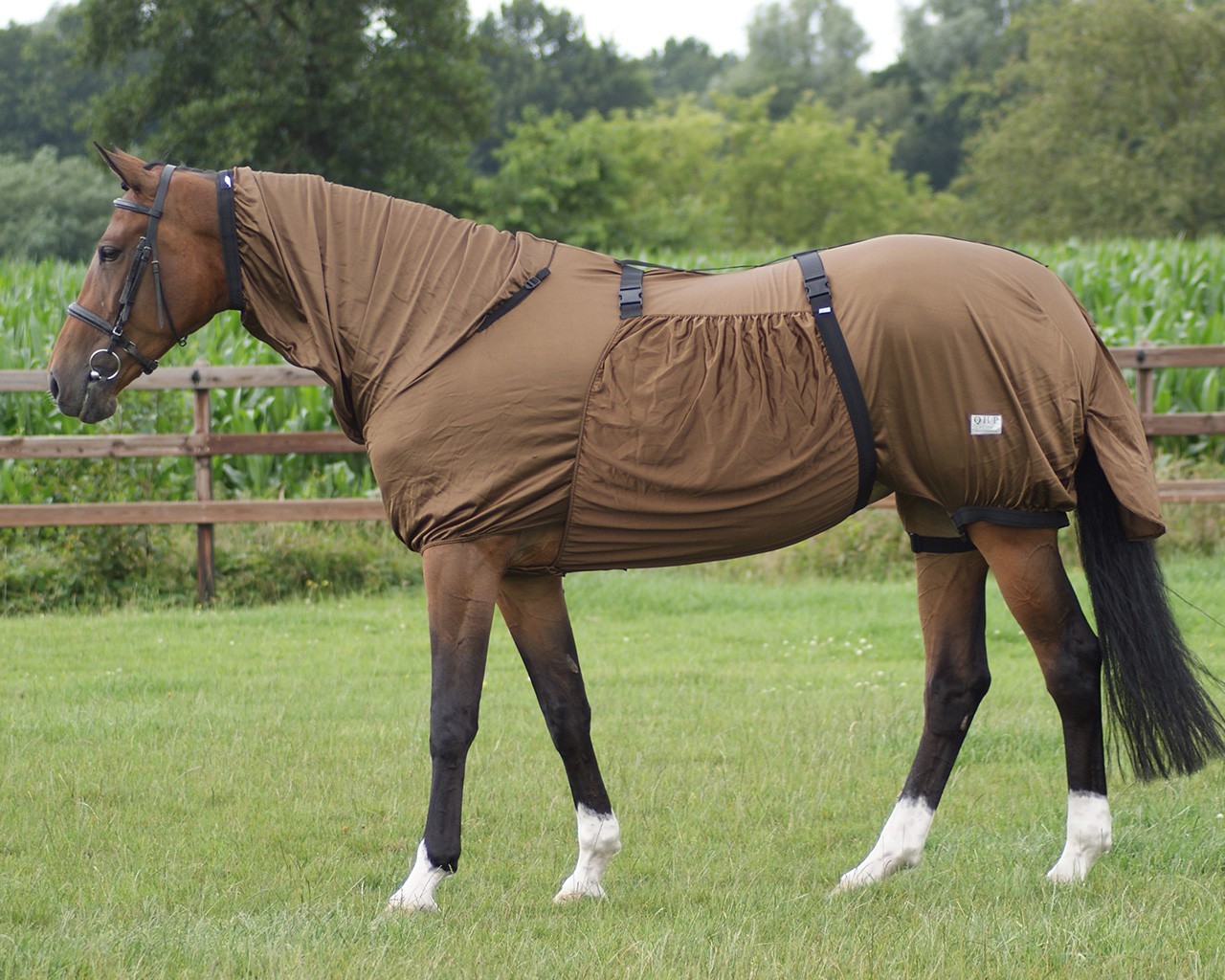 Q-essentials Deka proti hmyzu ECZEMA Q-essentials, s krkem, hnědá Délka zad: 115 cm