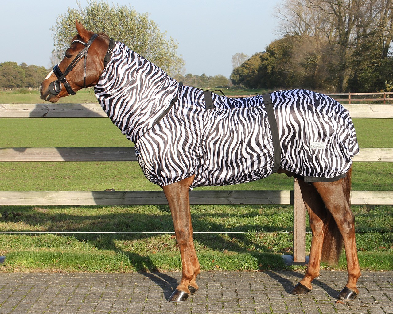 Q-essentials Deka proti hmyzu ECZEMA Q-essentials, s krkem, zebra Délka zad: 100 cm