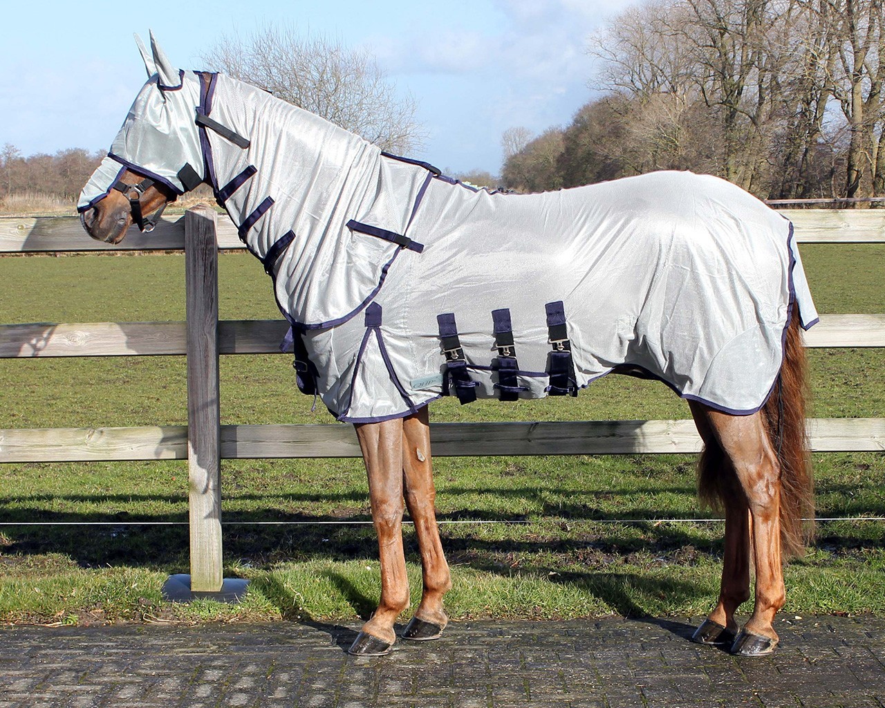 QHP Deka proti hmyzu QHP, s maskou a krkem, grey Délka zad: 145 cm