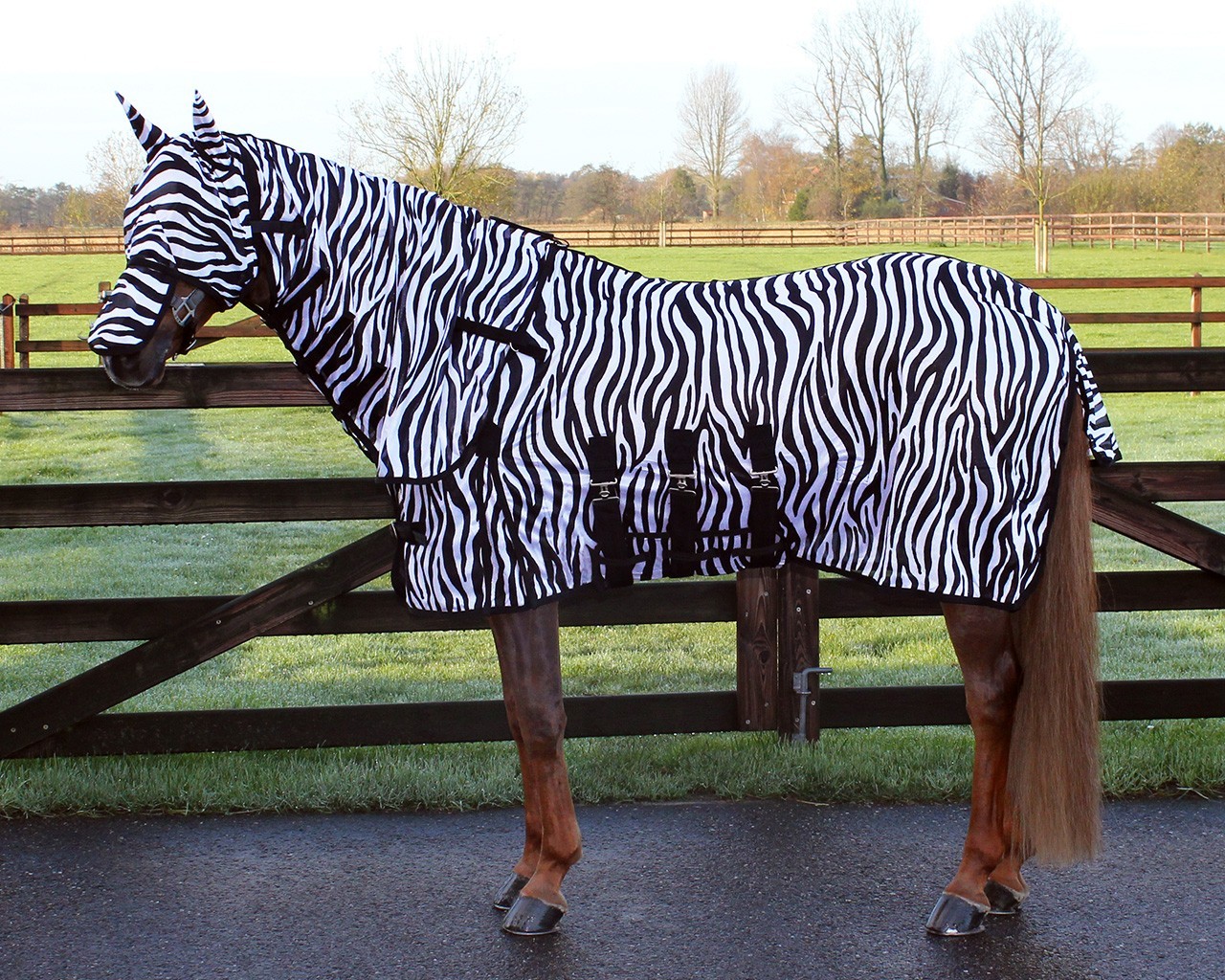 QHP Deka proti hmyzu QHP, s maskou a krkem, zebra Délka zad: 100 cm
