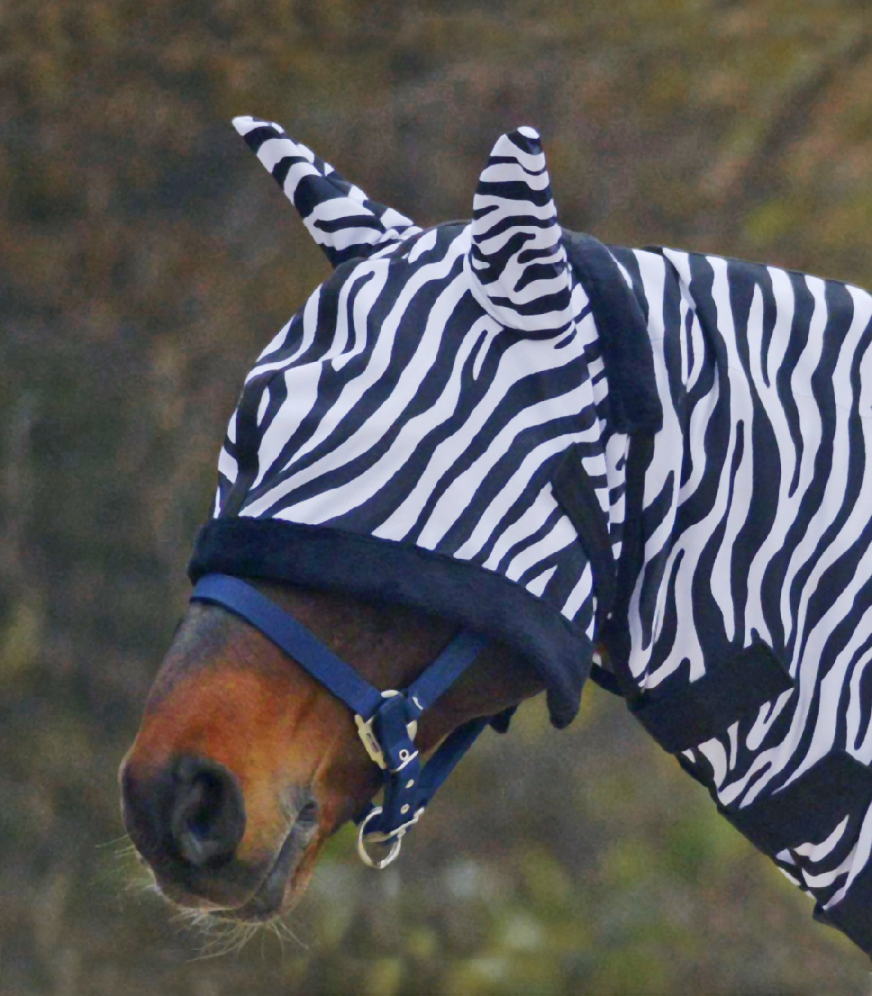 WALDHAUSEN Maska proti hmyzu Waldhausen, s ochranou uší, zebra Velikost: COB