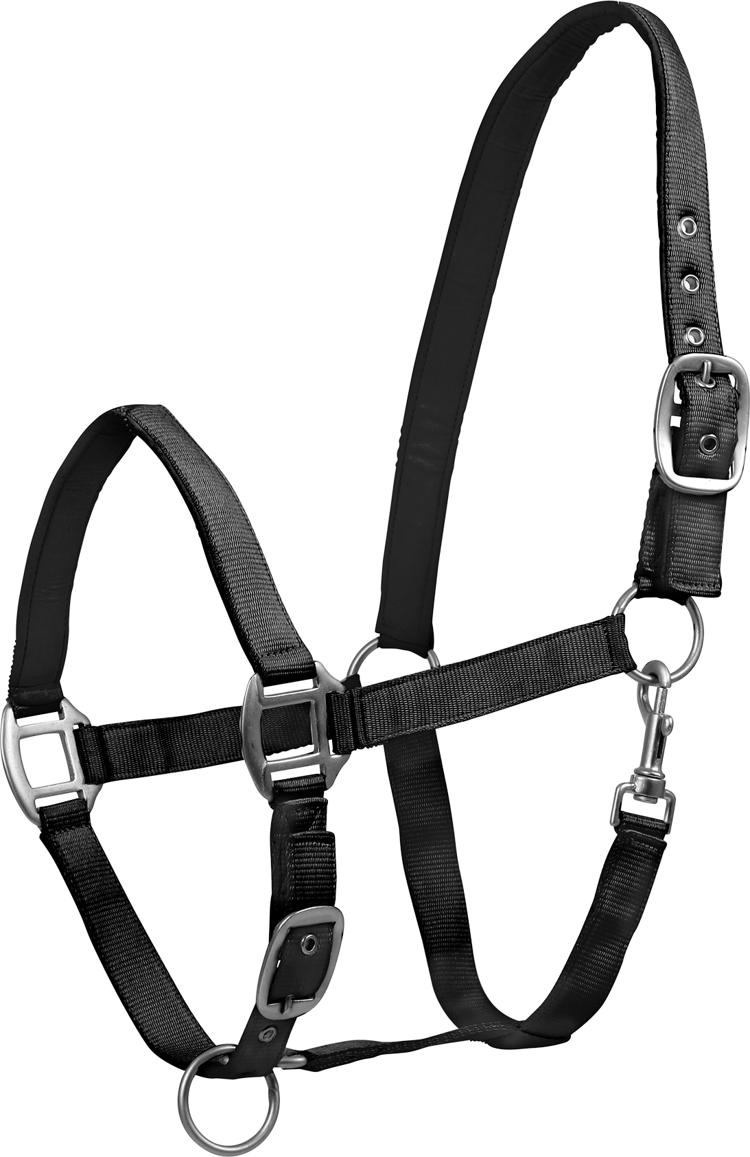 WALDHAUSEN Ohlávka Perlon Satin Waldhausen, černá Velikost: PONY