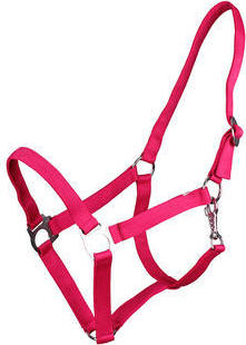 Q-essentials Ohlávka Slide Q-essentials, fuchsia Velikost: MINI SHETTY