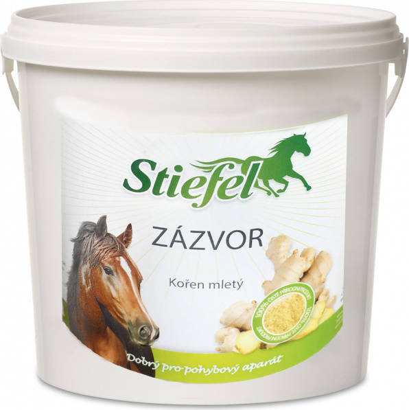 STIEFEL Zázvor STIEFEL, 1 kg