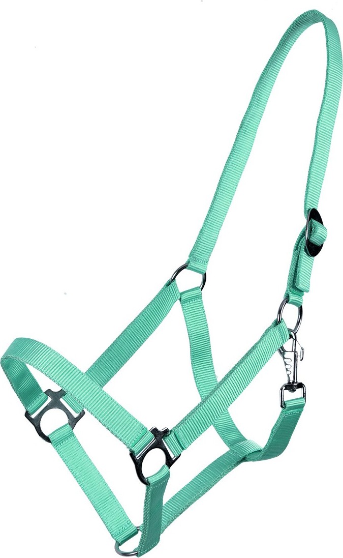 Q-essentials Ohlávka Slide Q-essentials, turquoise Velikost: COB