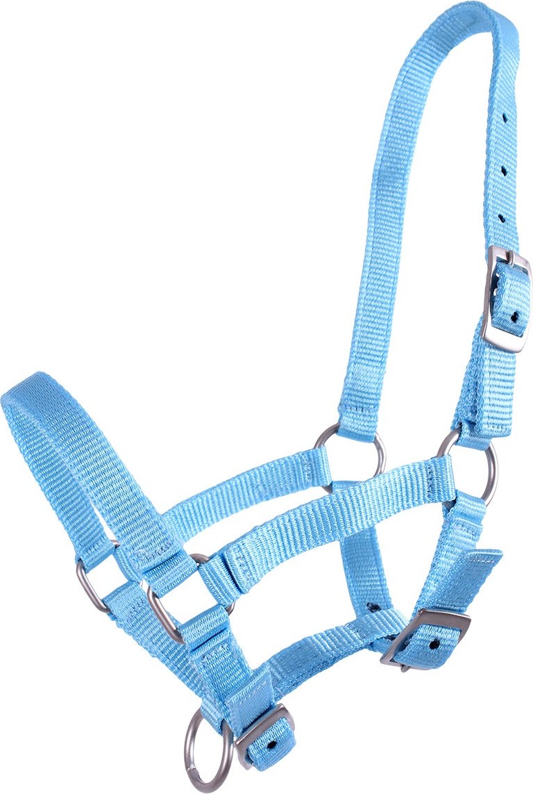 Q-essentials Ohlávka hříběcí Q-essentials, baby blue Velikost: FULL