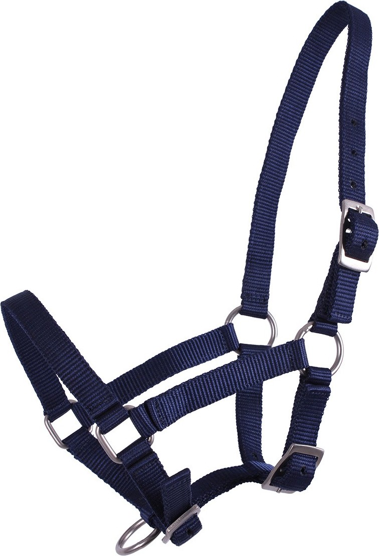 Q-essentials Ohlávka hříběcí Q-essentials, dark blue Velikost: FALABELLA