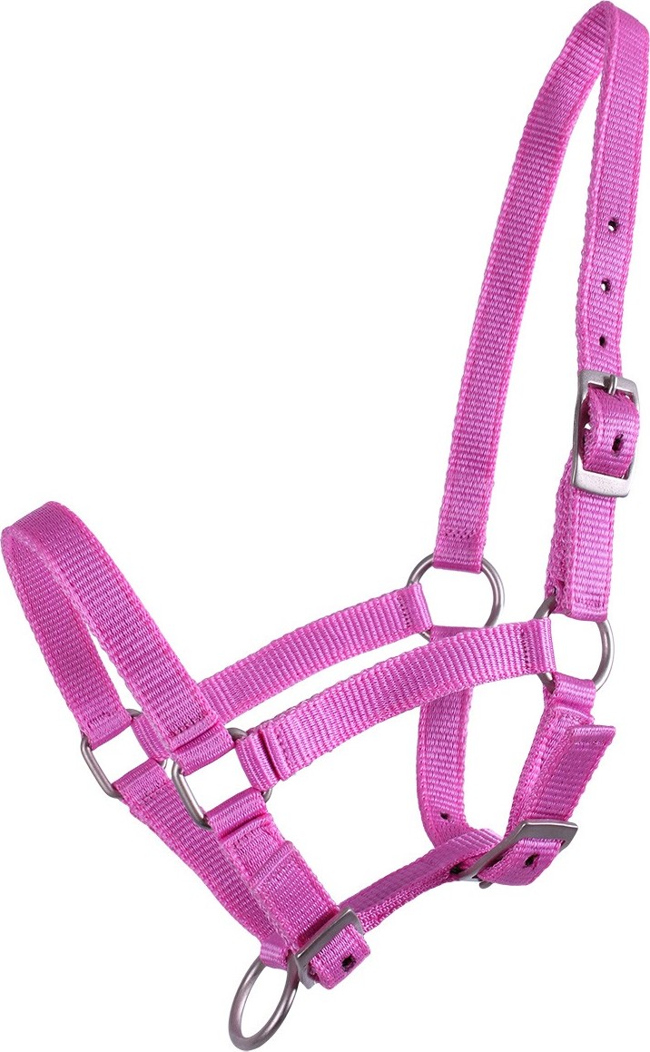 Q-essentials Ohlávka hříběcí Q-essentials, pink Velikost: FALABELLA