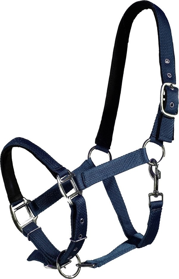 QHP Ohlávka Lined QHP, blue Velikost: COB