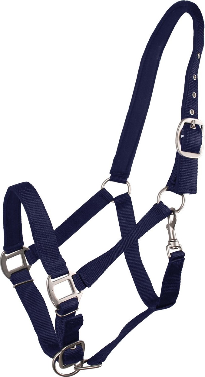QHP Ohlávka Lined QHP, blue Velikost: EXTRA FULL