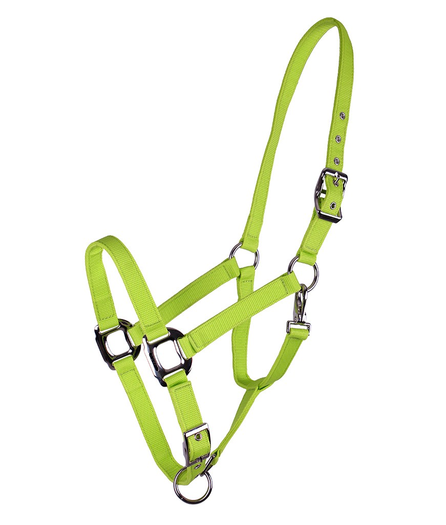 QHP Ohlávka Amos QHP, lime Velikost: PONY