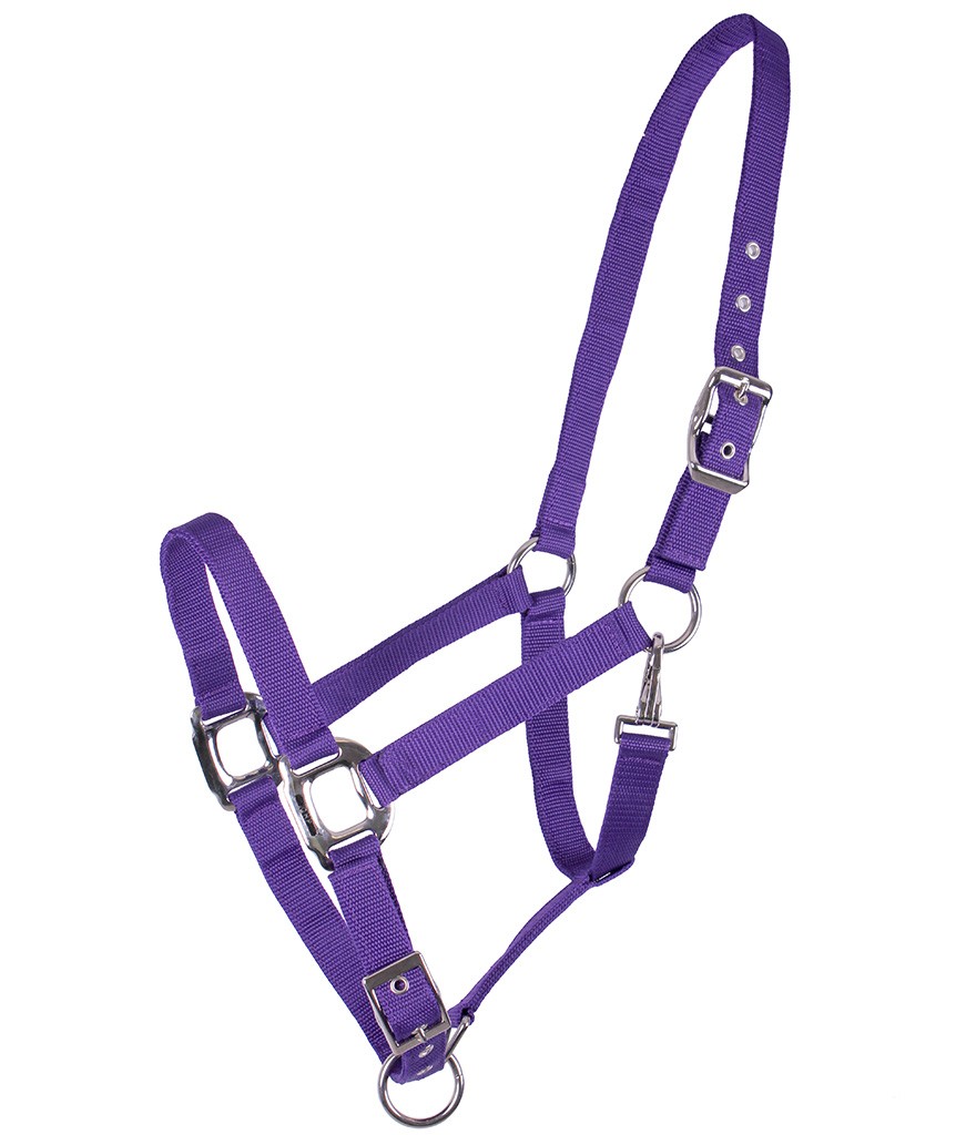 QHP Ohlávka Amos QHP, passion flower Velikost: PONY