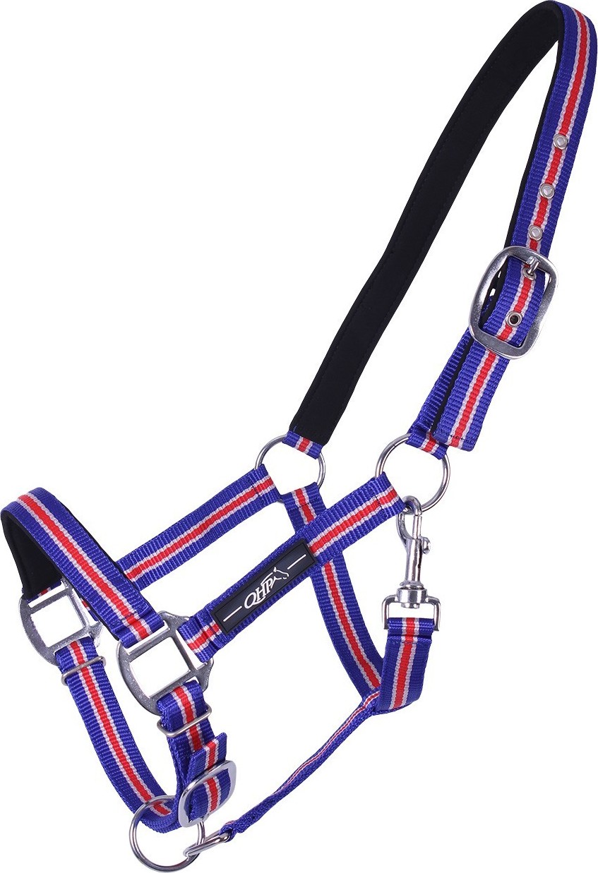 QHP Ohlávka Icelandic QHP, COB, royal blue