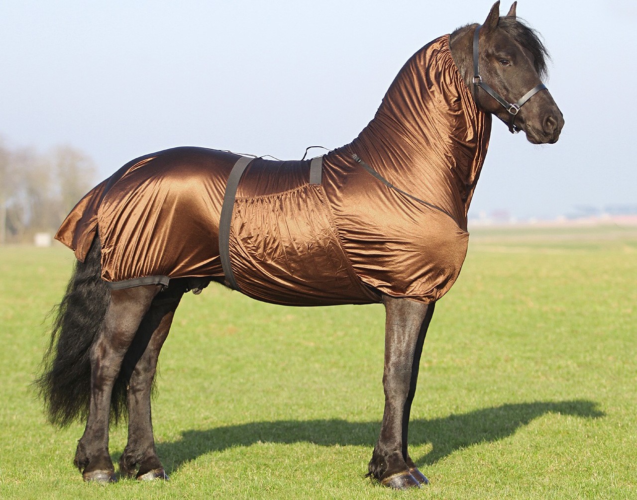 QHP Deka proti hmyzu ECZEMA Friesian QHP, brown Délka zad: 135 cm