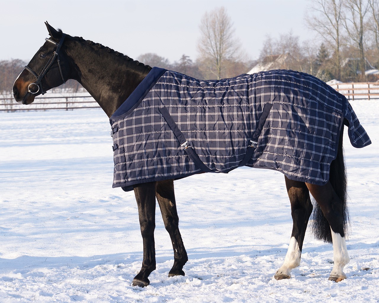 QHP Deka stájová QHP, 300 g, blue check Délka zad: 145 cm