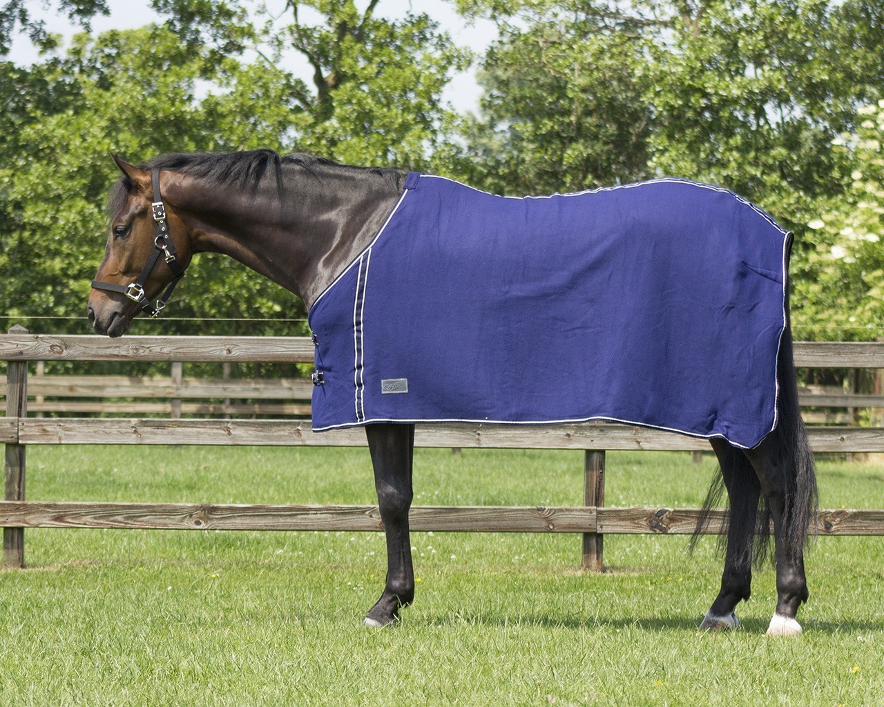 Q-essentials Deka odpocovací Basic Q-essentials, blue Délka zad: 115 cm