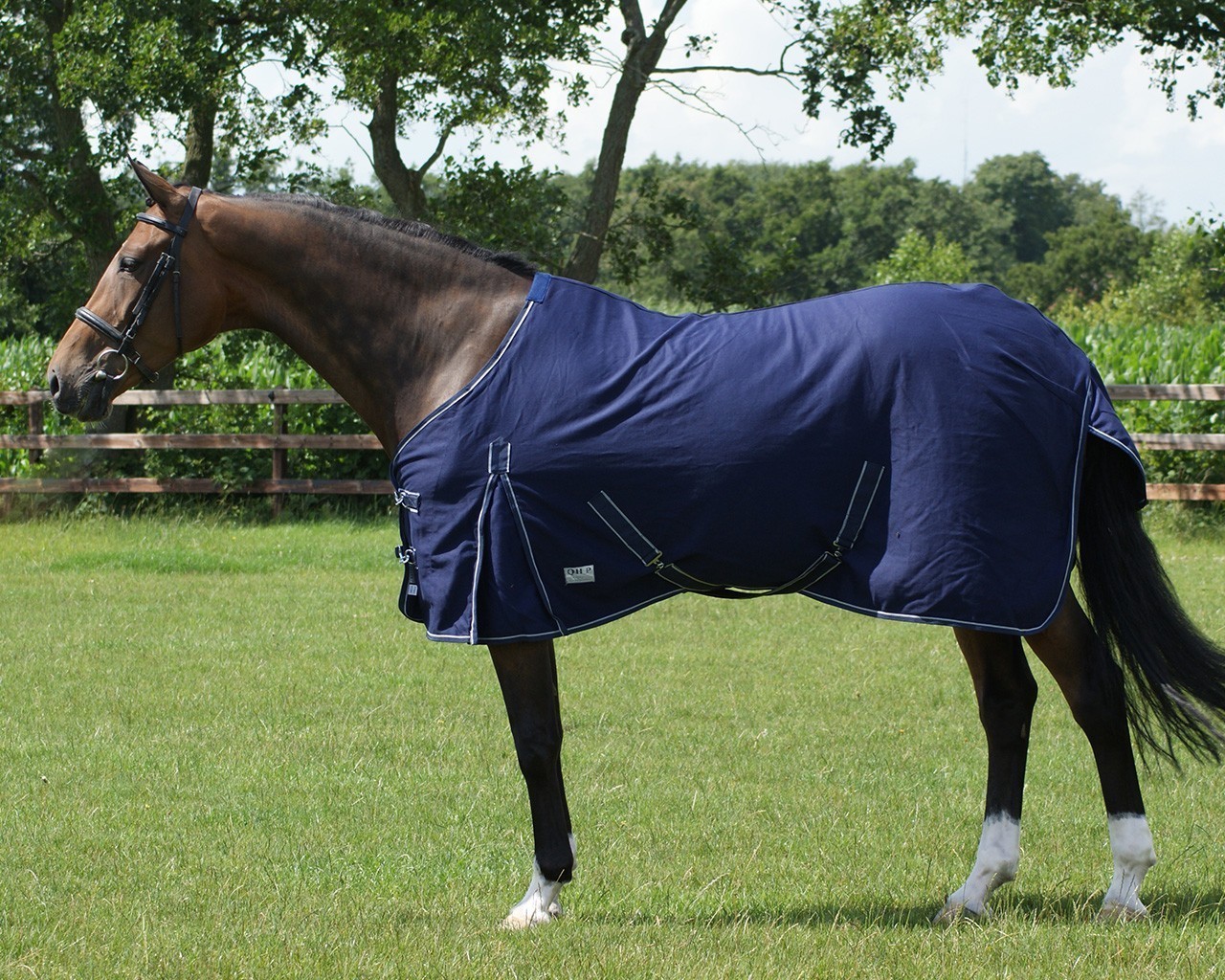 QHP Deka letní QHP, blue Délka zad: 125 cm
