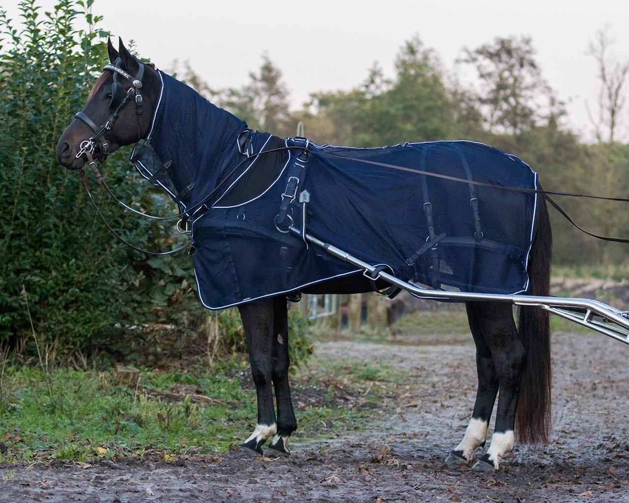 QHP Deka proti hmyzu Cover QHP, s krkem, blue Délka zad: 85 cm