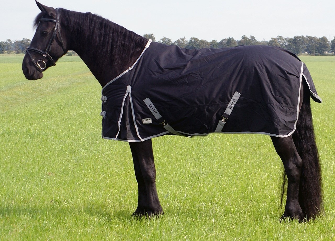 QHP Deka nepromokavá XL QHP, 0 g, černá Délka zad: 135 cm