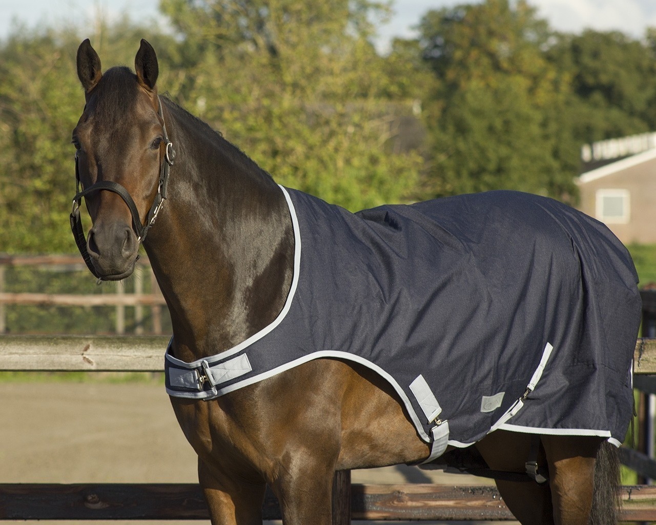 QHP Deka pracovní QHP, 0 g, blue Délka zad: 165 cm