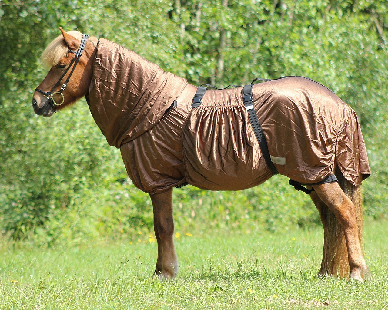QHP Deka ECZEMA Icelandic QHP, s krkem, hnědá Délka zad: 135 cm