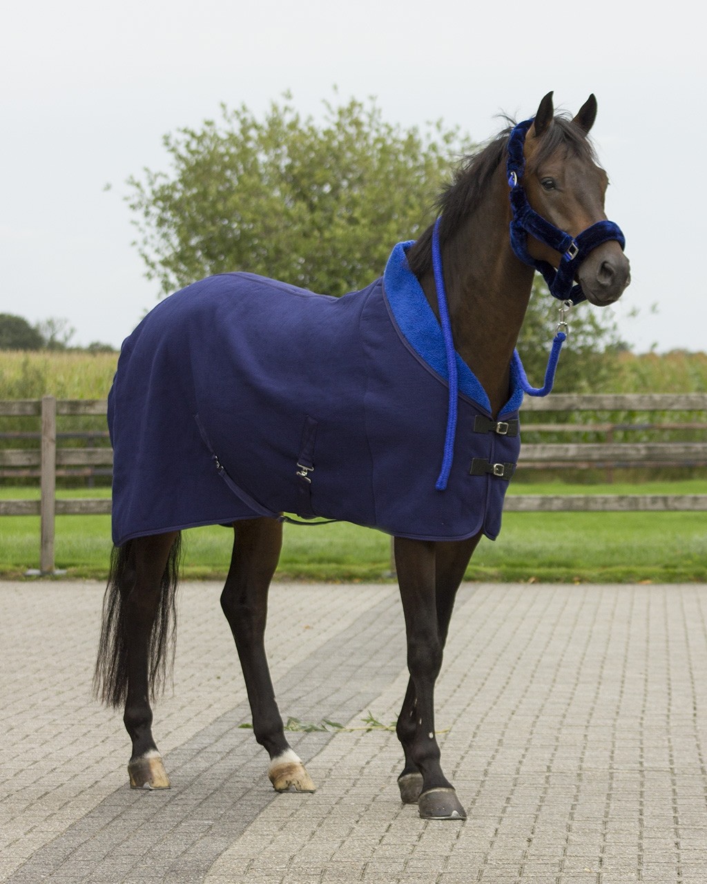 QHP Zimní odpocovací deka Alaska QHP, navy/blue Délka zad: 155cm