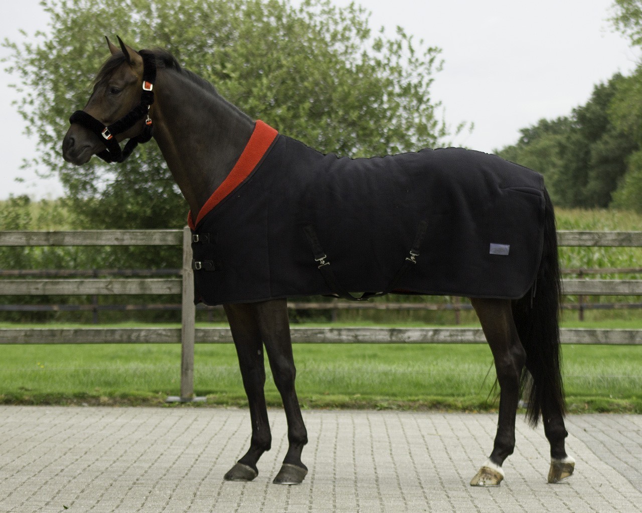 QHP Zimní odpocovací deka Alaska QHP, black/red Délka zad: 135cm