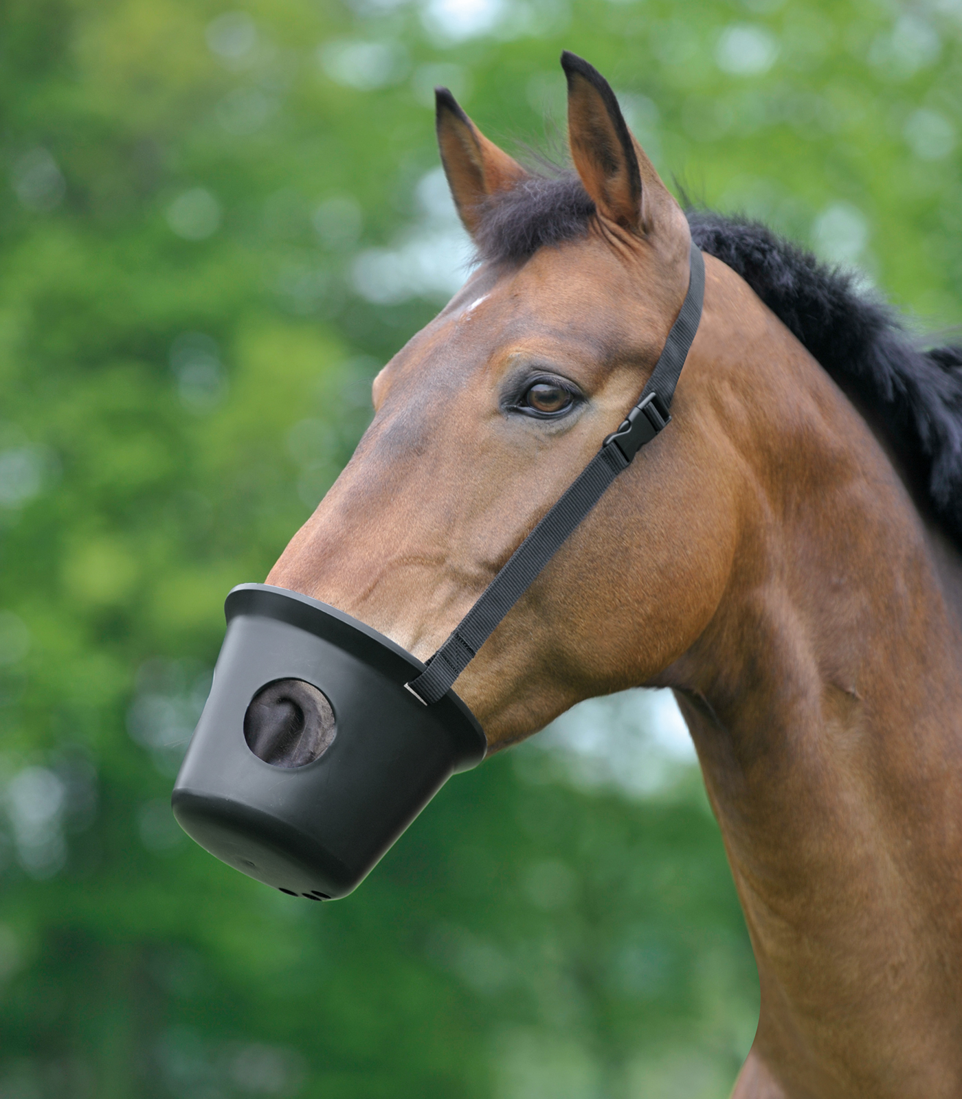 WALDHAUSEN Náhubek s otvory Pony Waldhausen, černý
