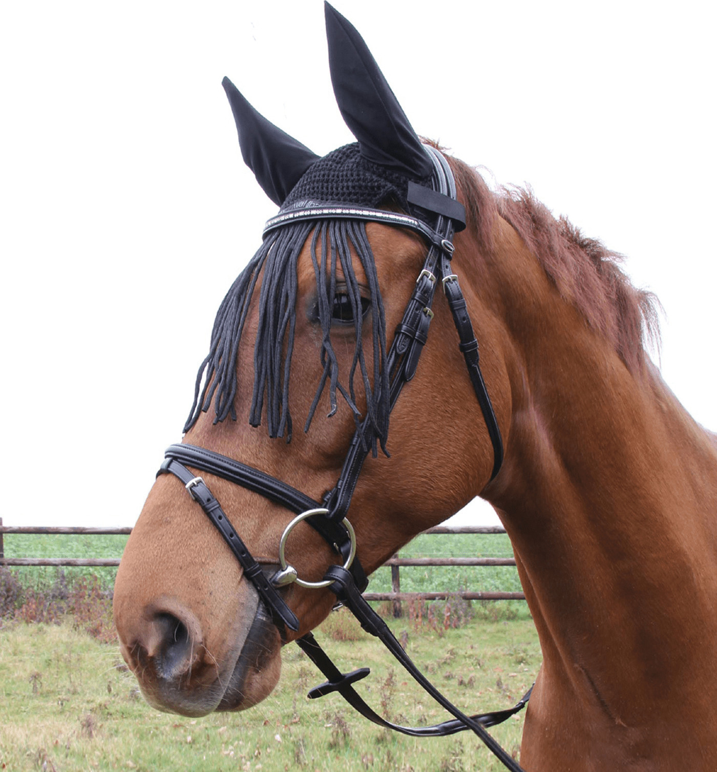 Čabraka na uši Waldhausen s třásněmi, černá Velikost: PONY