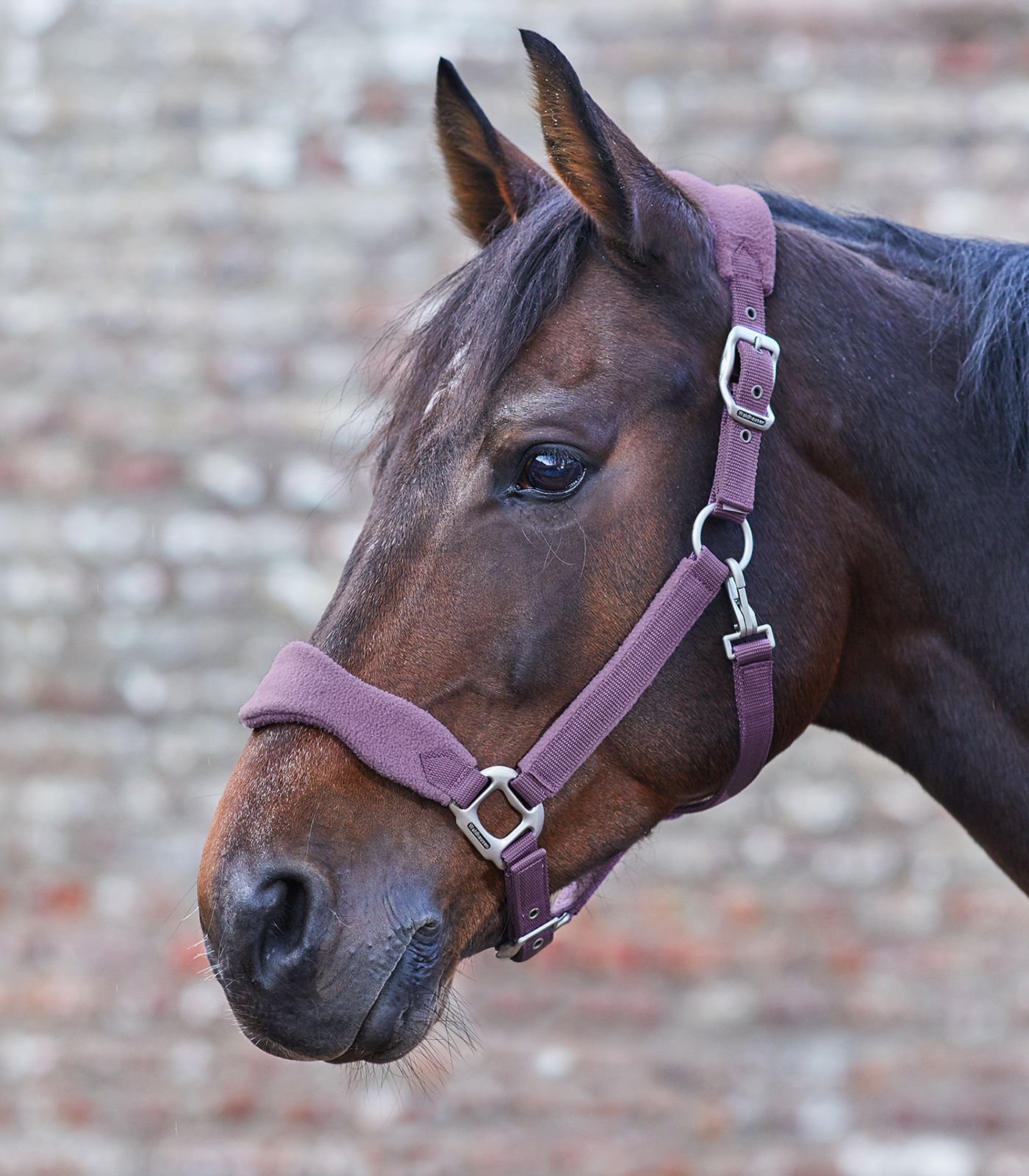 WALDHAUSEN Ohlávka Premium Soft, lilac Velikost: PONY