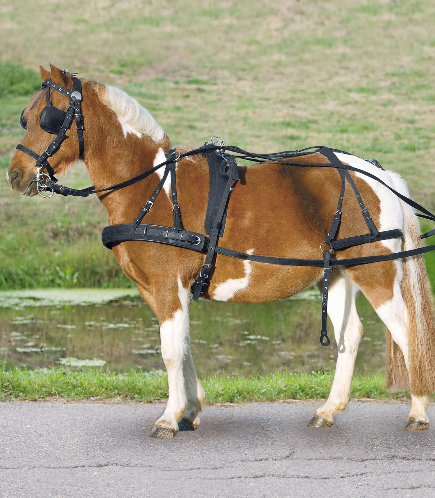 WALDHAUSEN Poprsní postroj pro pony Star Waldhausen, černý Velikost: SHETTY