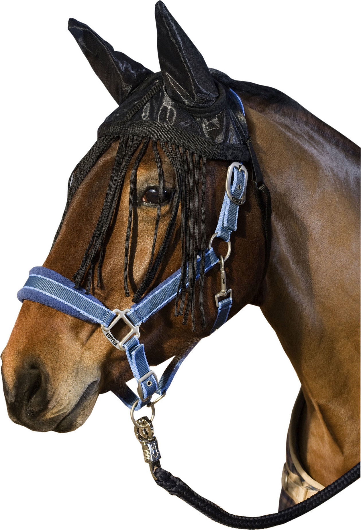 USG Třásně proti hmyzu s ochranou uší USG, černé Velikost: PONY