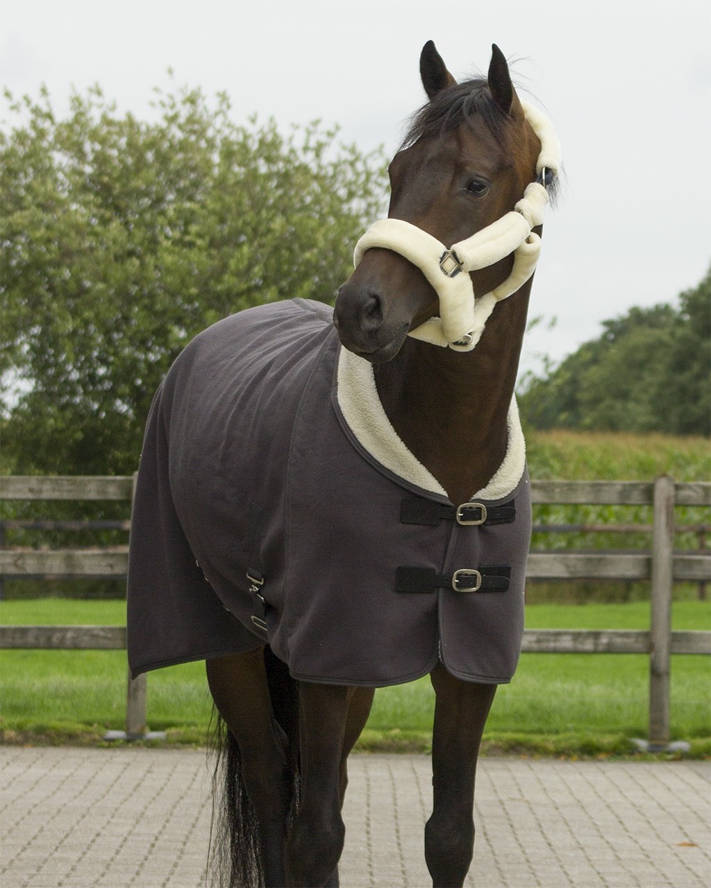QHP Zimní odpocovací deka Alaska QHP, grey/creme Délka zad: 118 cm