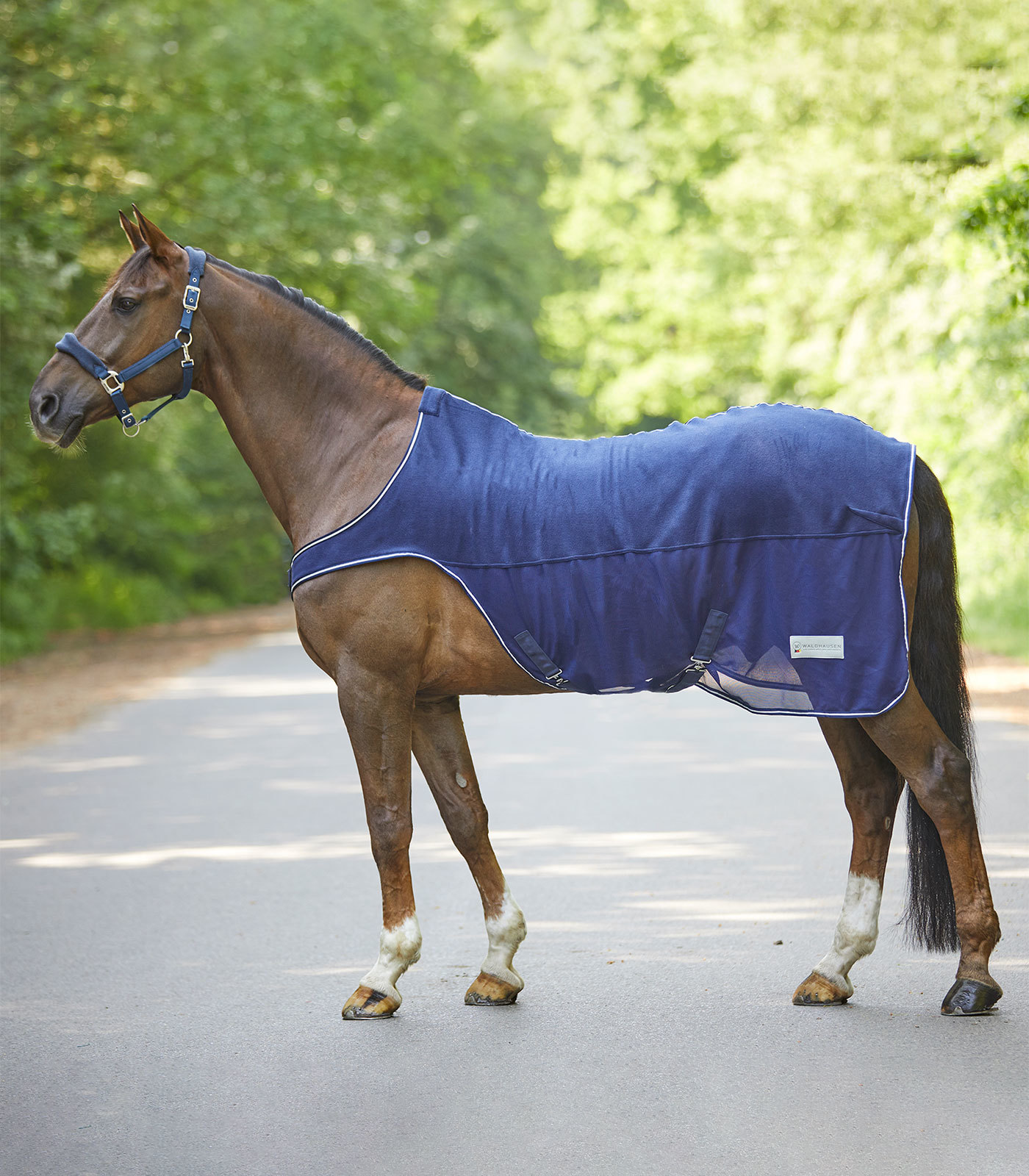 WALDHAUSEN Deka síťová Protect Waldhausen, night blue Délka zad: 145 cm