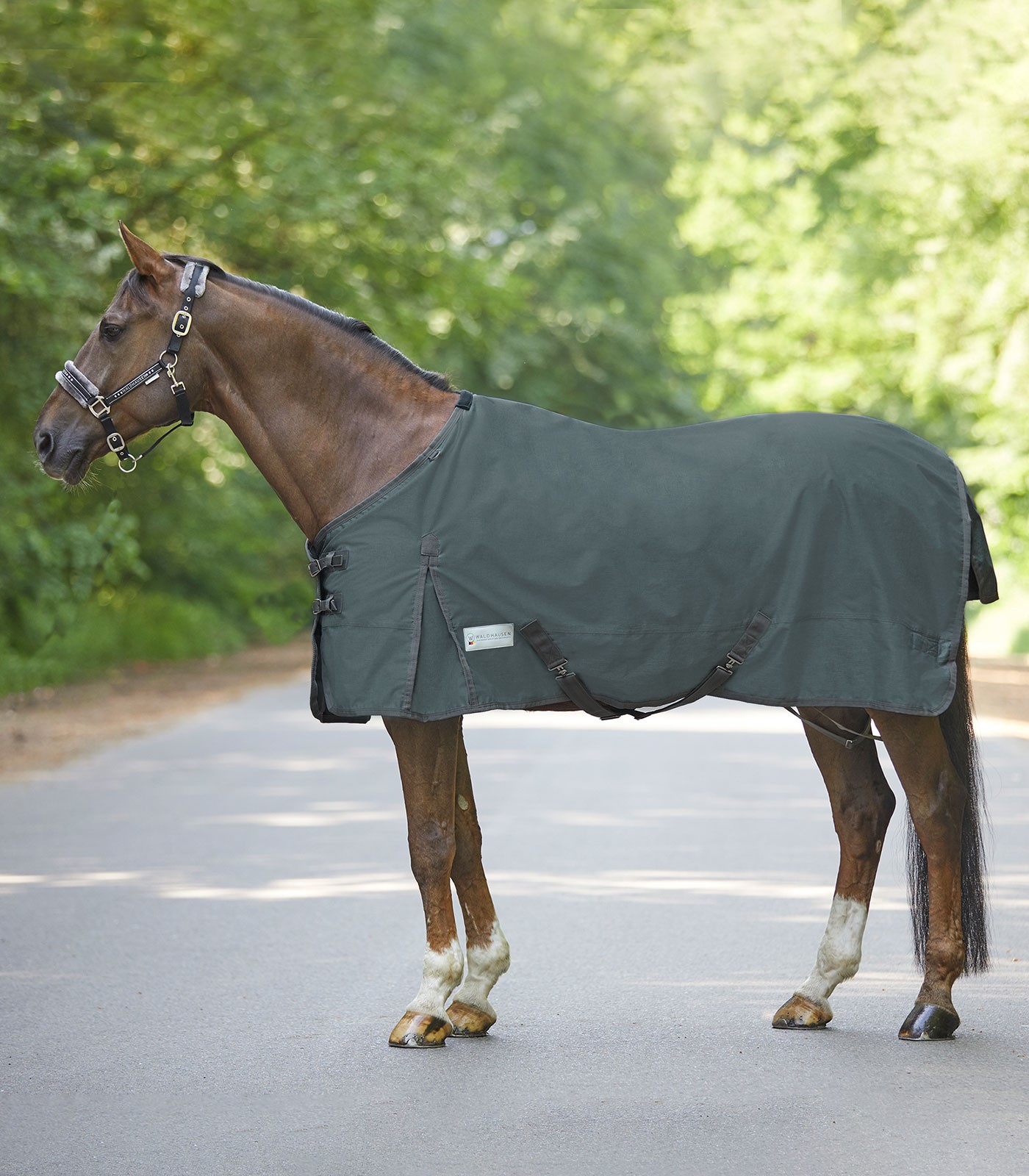 WALDHAUSEN Deka výběhová Economic Melange Waldhausen, 200g, grey Délka zad: 125cm