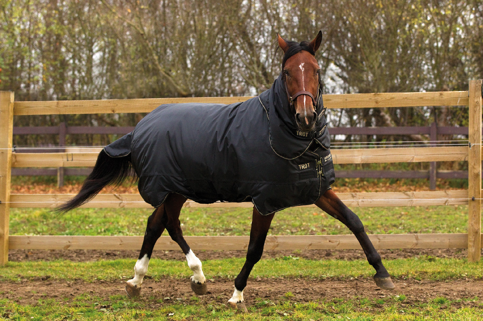 HORSEWARE Deka výběhová Trot Horseware, s krkem, 350 g, black/tan Délka zad: 130 cm