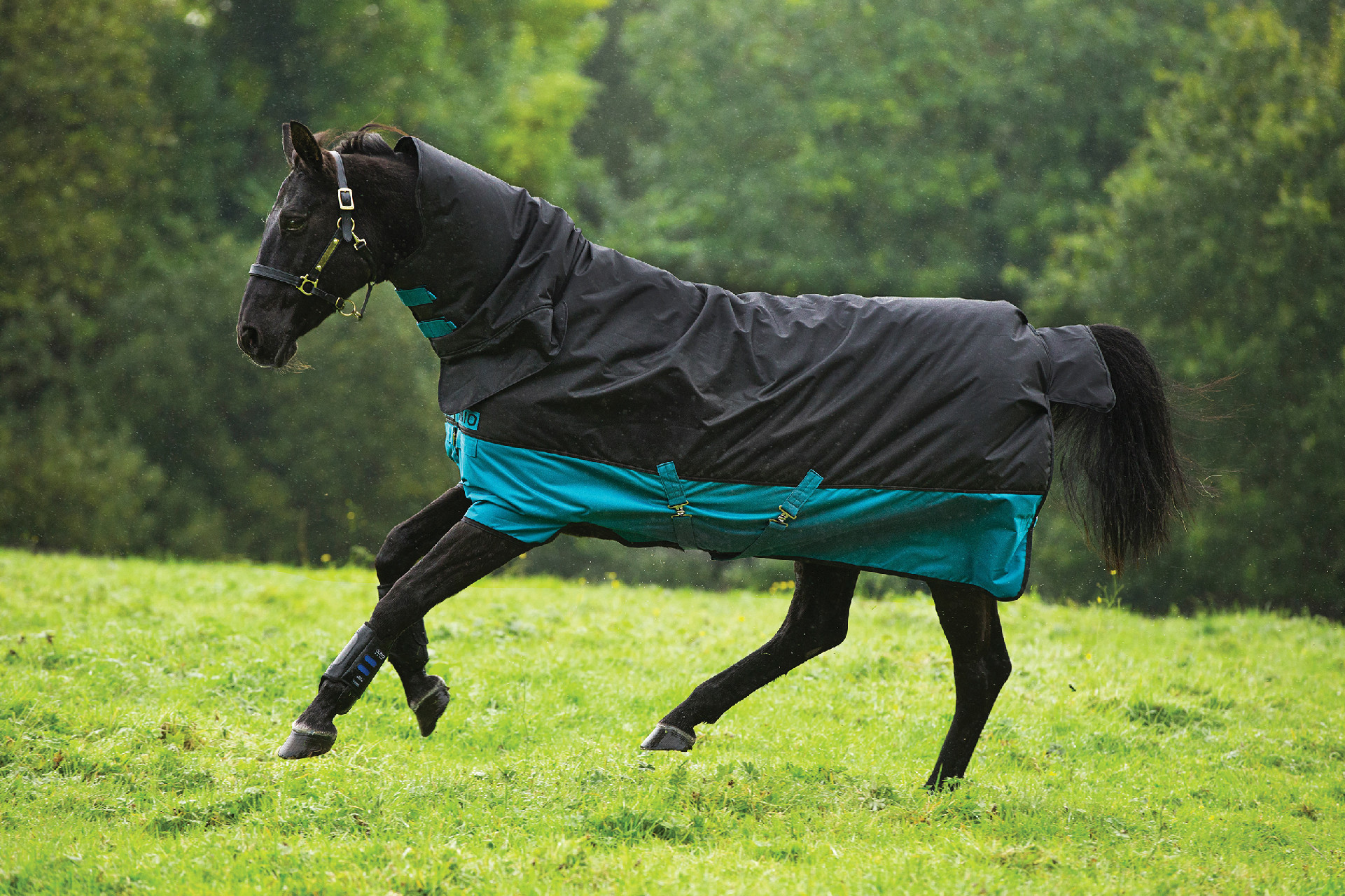 Deka výběhová Mio All In One, s krkem, 200 g, black/turquoise Délka zad: 125 cm