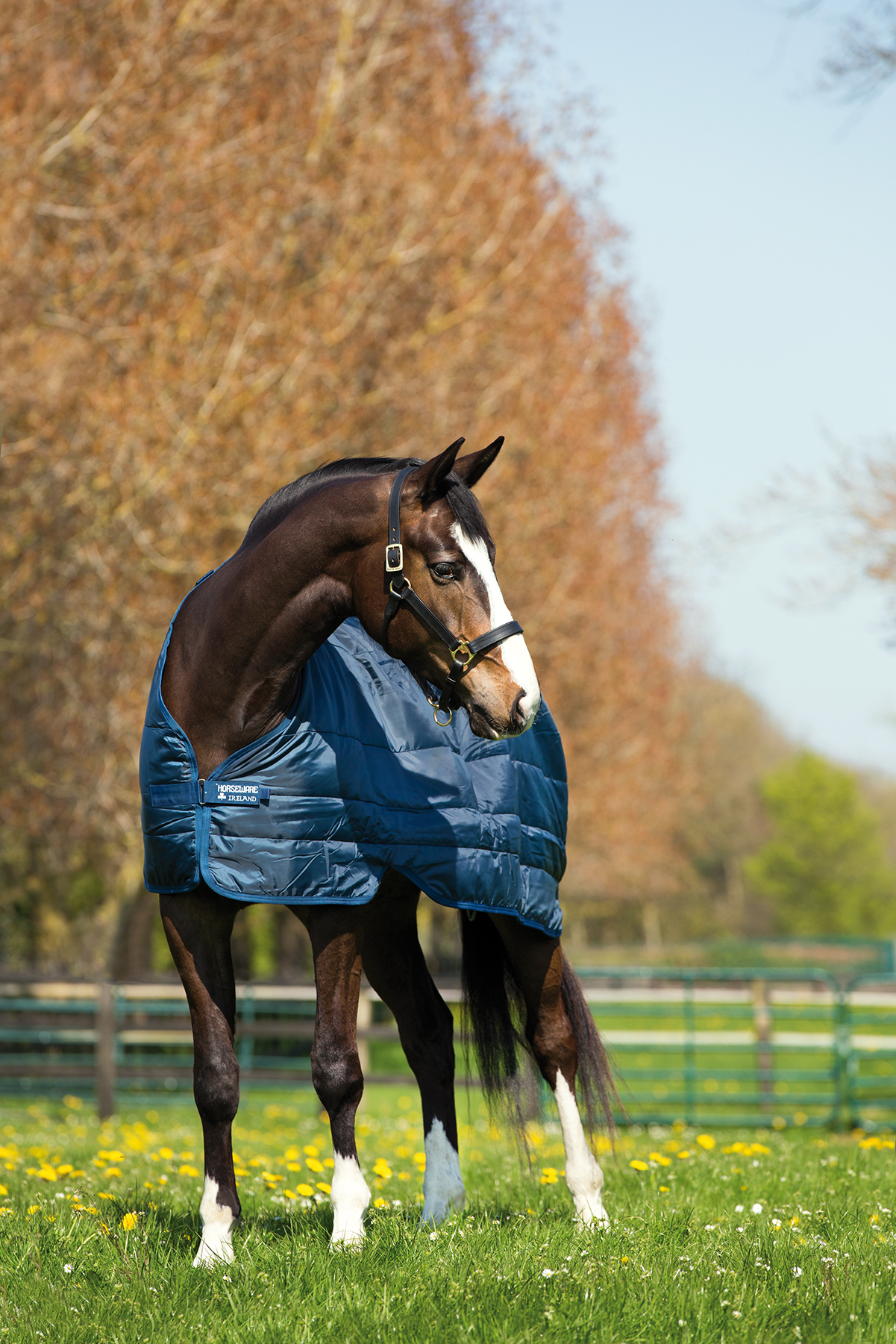 HORSEWARE Liner k dekám Horseware, 300 g, navy/navy Délka zad: 100 cm